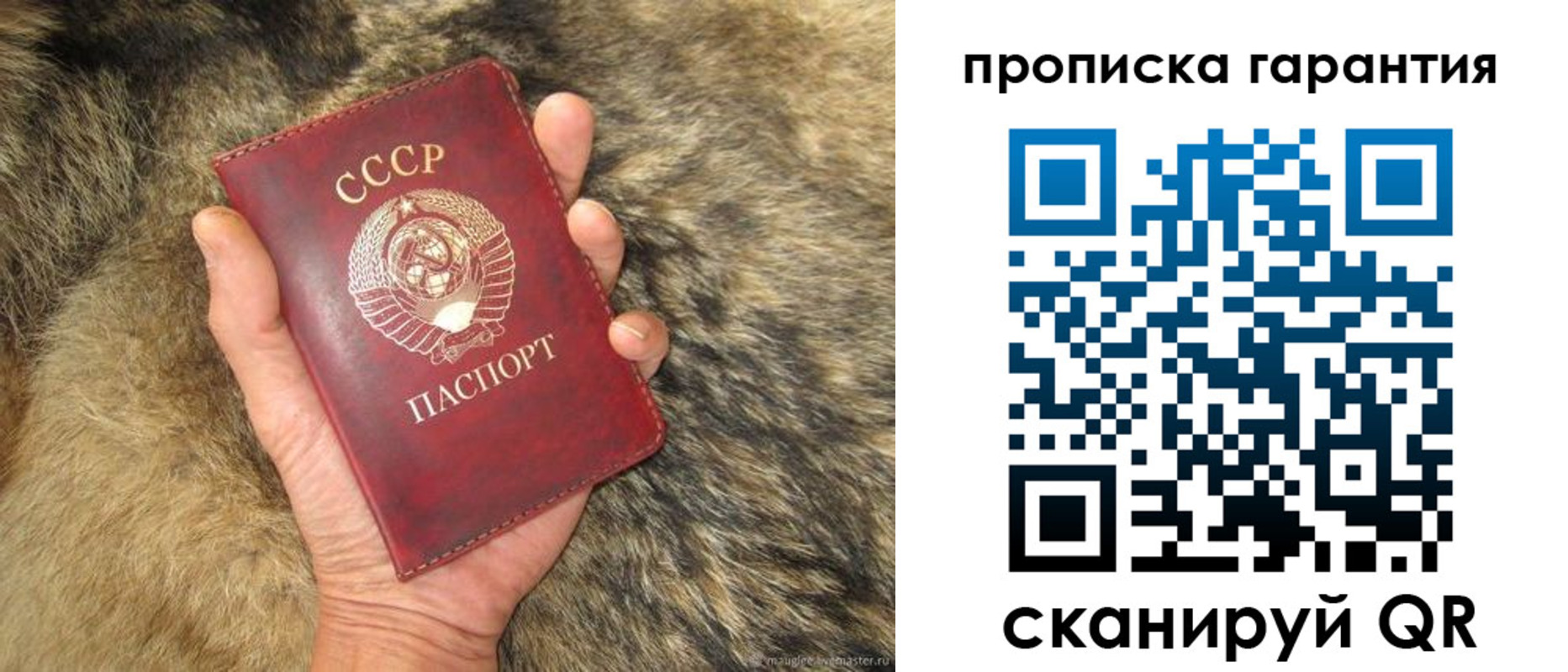 прописка паспорт в Острове